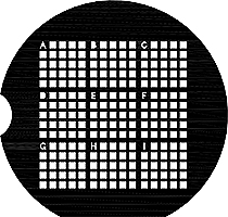 EM-Tec finder TEM support grids, 200 mesh-F2, corner of each 5x5 squares identified with letters A-I